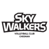 Hyundai Skywalkers